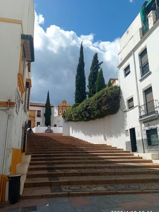 Precioso Loft En El Centro De Cordoba. Διαμέρισμα Εξωτερικό φωτογραφία