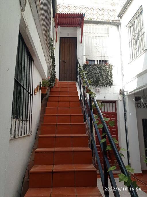 Precioso Loft En El Centro De Cordoba. Διαμέρισμα Εξωτερικό φωτογραφία